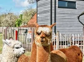 Tiny House Alpakablick - inklusive gratis Alpaka Meet & Greet