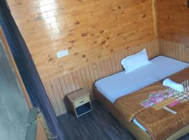 Viesnīca Holy apple pilsētā Nagar