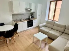 Cosy 5 - Belfort centre