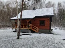 Domek na Zagórze - domek całoroczny