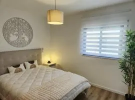 Downtown apartment - Terrace, garage and pool