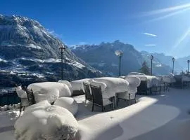 Hotel und Naturhaus Bellevue