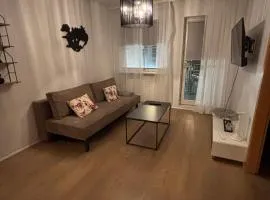 Hafnarstræti 100, Downtown Apartment