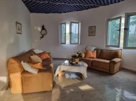 Exodus Eco Camping Lodge& Resturant