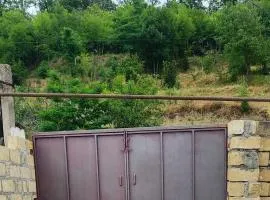 Gusar Quiet Family House forest view