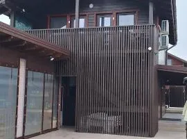 Baile Figa-Terasa Spa Cazare