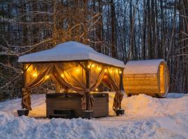 Stratton Ski Haus, Green Mountain Wellness Retreat, Hot Tub & Barrel Sauna, ξενοδοχείο σε Jamaica