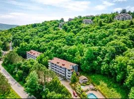 Loft Le Mercier by Gestion ELITE