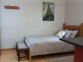 'The Cape Robin' studio apartment