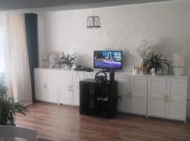 Tudor Centru Apartament