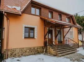 Zafir House Harghita Bai Vila Ski