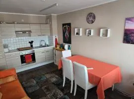 Ferienwohnung Nähe Flughafen mit Schwimmbad und Sauna