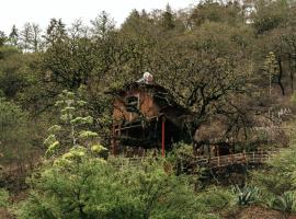Cabañas Xakali, Hotel in San Joaquín
