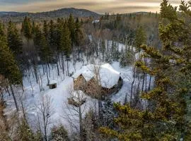 L'ours et le Renard- Chalet familial et Spa