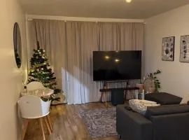 Peaceful place in Lapland!