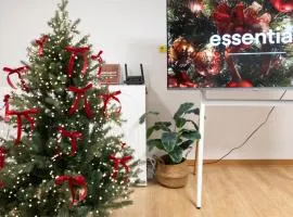 Bandal Stay in Daegu