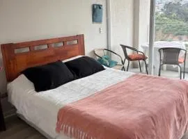 Departamento centro de viña