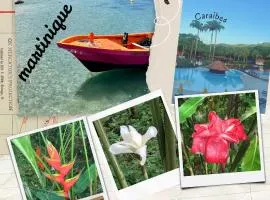 Tobago magnifique appartement vue mer complexe pierre et vacances