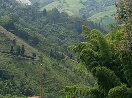 Zona de Camping Hostal Las Hamacas