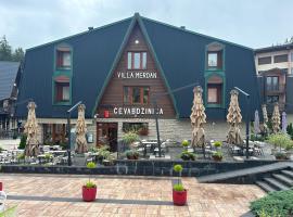 Villa Merdan，位于弗拉西克的酒店
