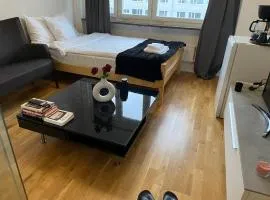 Cozy Private Room in Uppsala
