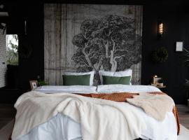 Noma Cabin, hotel v destinaci Măguri