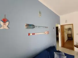 House with Atlantic Forest in the background - Saíra Sete Cores