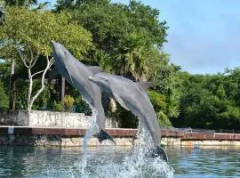 Departamento cerca del mar en Puerto Aventuras #104