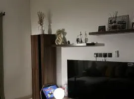 شقه غرفه وصاله انيقة و مريحة