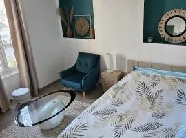 studio cosy - centre-ville de Montargis -Wifi, Netflix