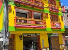 Girasoles del parque