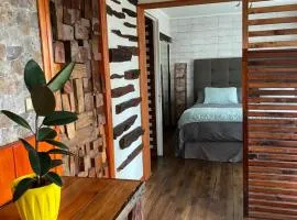 Centro de Temuco Depto único, rústico y a pasos de todo Incluye estacionamiento