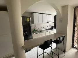 Apt 201 - San Fernando