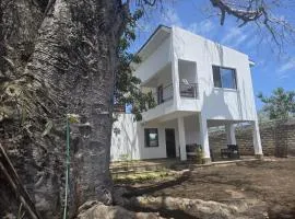 Baobab Studio Apartments