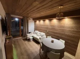 Appartement au pied des pistes