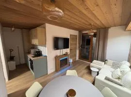 Appartement au pied des pistes