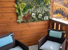 Luxury Apart'hotel 6 persons , 50 m slope, terrace, view, parking 50 m des pistes et commerces à pieds