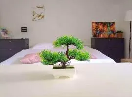 Lugano paradise downtown