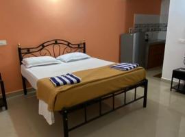 Palm view inn, hotel in Majorda