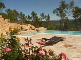 L'Olivade Large villa with heated swimming pool