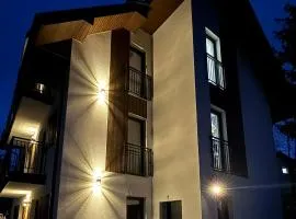 Apartamenty nad Przełomem Dunajca - Sauna & Balia