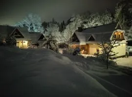 GLICZAROWA OSADA, Chata 18 osób, Domek 8 osób NA WYŁĄCZNOŚĆ, 8 sypialni z łazienkami, spokój, przyroda, wyjątkowe miejsce