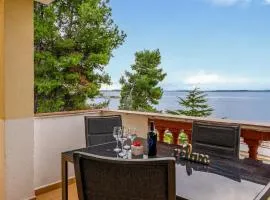Luxurious Apartment In Vir With House Sea View