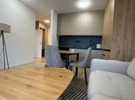 Apartment with balcony near airport with parking