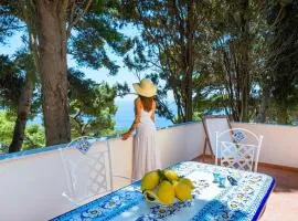 Casa Schiattarella Capri