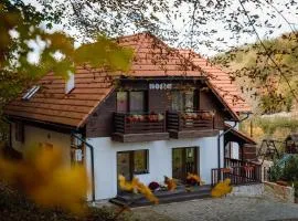 Pensiunea Nossa Panzió