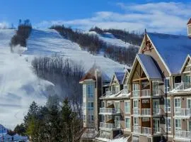 Sauna, Hot Tub & Heated Pool Blue Mountain Getaway