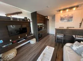 Incredible 2 rooms, sun terrace view, slope Incroyable appartement, six personnes Tout, pédestre, commerces et piste, Immense terrasse, vue panoramique montagne et pistes