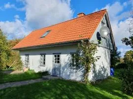 Kembser Kate - Ostholstein - NEU!