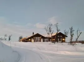 Modern Family Cabin Near Kikut In Geilo
